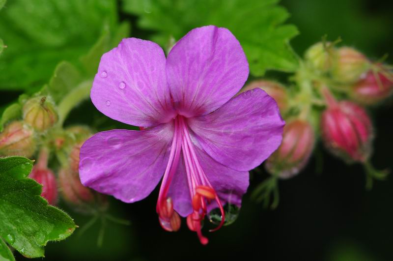 2011_05_16__4748.jpg