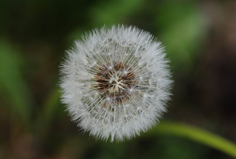 2011_05_16__4786.jpg