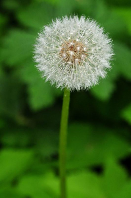 2011_05_17__5848.jpg