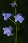 2004_07_07__0594.jpg
