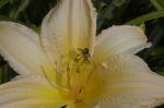 2004_07_18__0811.jpg