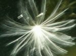 2005_08_04__000335.jpg