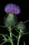 2005_08_09__0002050.jpg