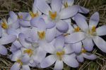 2006_03_27__0020.jpg