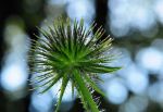 2007_08_10__079890.jpg