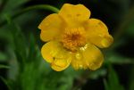 2011_05_16__4758.jpg