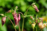 2011_05_16__4807.jpg