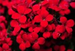 2011_05_17__5840.jpg