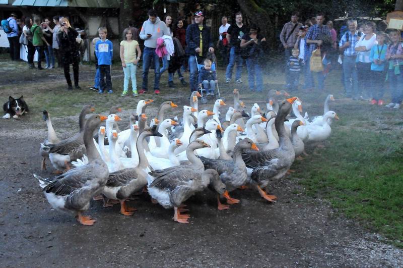 2014_07_11_04983.jpg