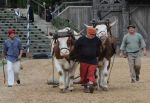 2014_07_11_05644.jpg