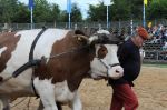 2014_07_11_05654.jpg
