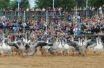 2014_07_11_05790.jpg