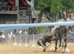 2013_07_20_02767~0.jpg
