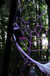 2013_07_20_04140~0.jpg