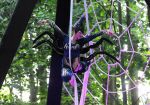 2013_07_20_04184~0.jpg