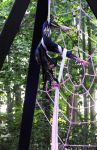 2013_07_20_04281~0.jpg