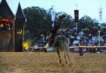 2012_07_20__07952~0.jpg