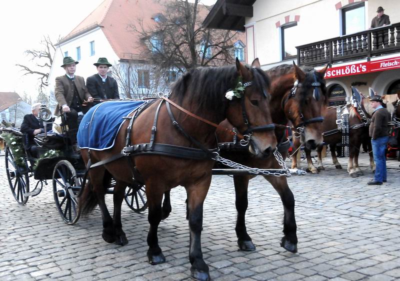 2011_12_26__00957.jpg