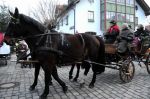 2011_12_26__00381.jpg