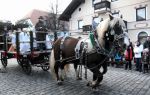 2011_12_26__01110.jpg