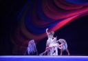 2012_02_02__009320.jpg
