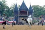 2011_07_15__1630.jpg