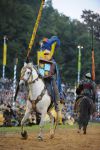 2011_07_15__2638.jpg