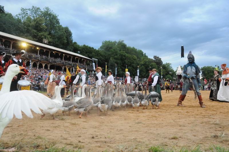 2011_07_08__5993.jpg