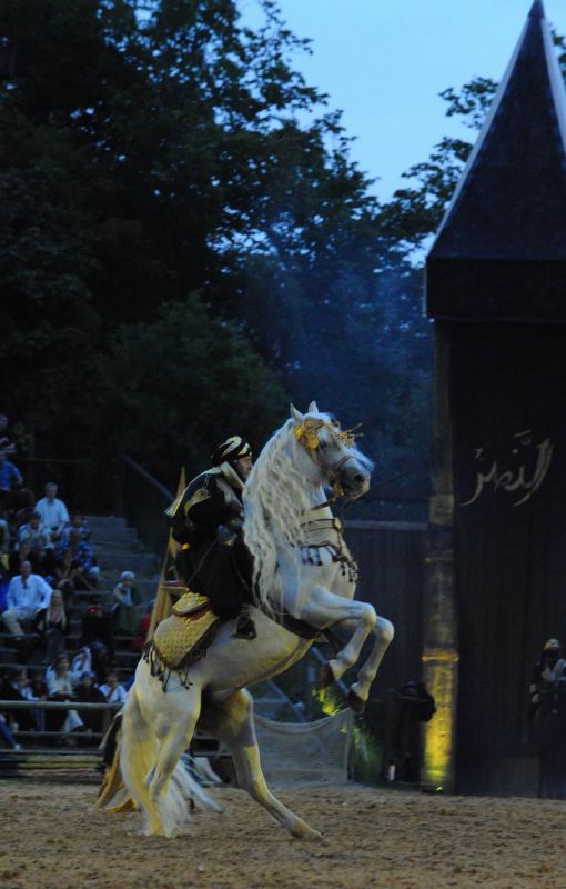 2011_07_08__7202.jpg