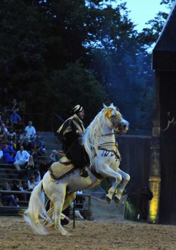 2011_07_08__7203.jpg