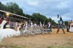 2011_07_08__5993.jpg