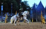 2011_07_08__7096.jpg