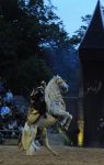 2011_07_08__7202.jpg