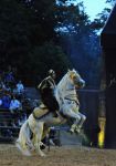 2011_07_08__7203.jpg