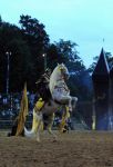 2011_07_08__7216.jpg