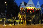 2011_07_08__8415.jpg