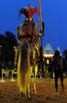 2011_07_08__8463.jpg
