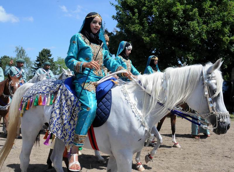 2011_06_04__0986.jpg