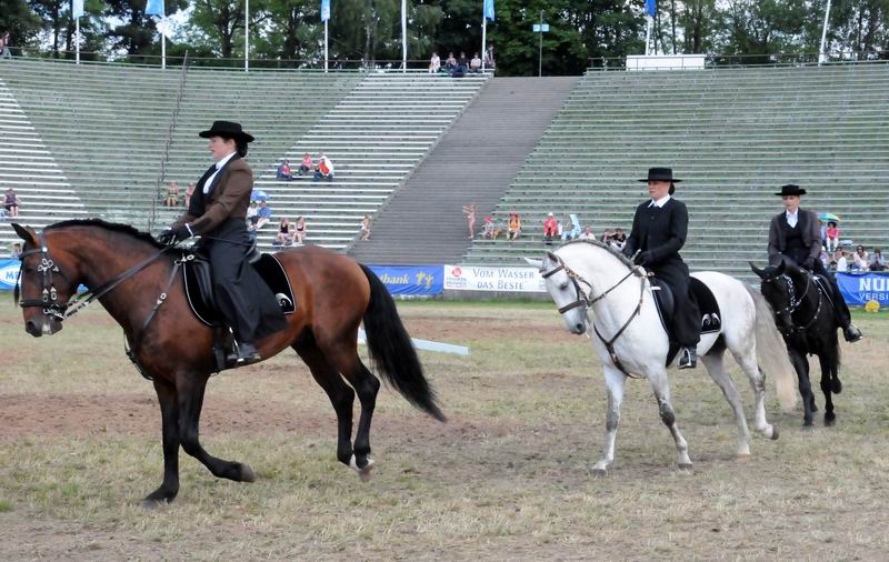 2011_06_04__4070.jpg