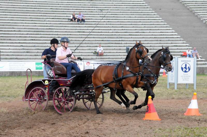 2011_06_04__5550.jpg