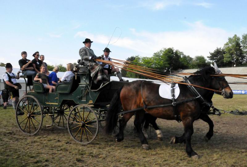 2011_06_04__6252.jpg