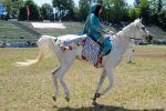 2011_06_04__1133.jpg