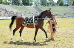 2011_06_04__1358.jpg