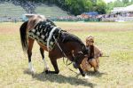2011_06_04__1365.jpg