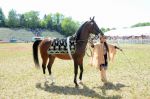 2011_06_04__1366.jpg
