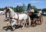 2011_06_04__1634.jpg