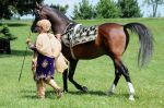 2011_06_04__1643.jpg