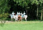 2011_06_04__1645.jpg