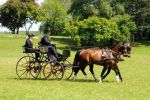 2011_06_04__1724.jpg