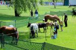 2011_06_04__1751.jpg